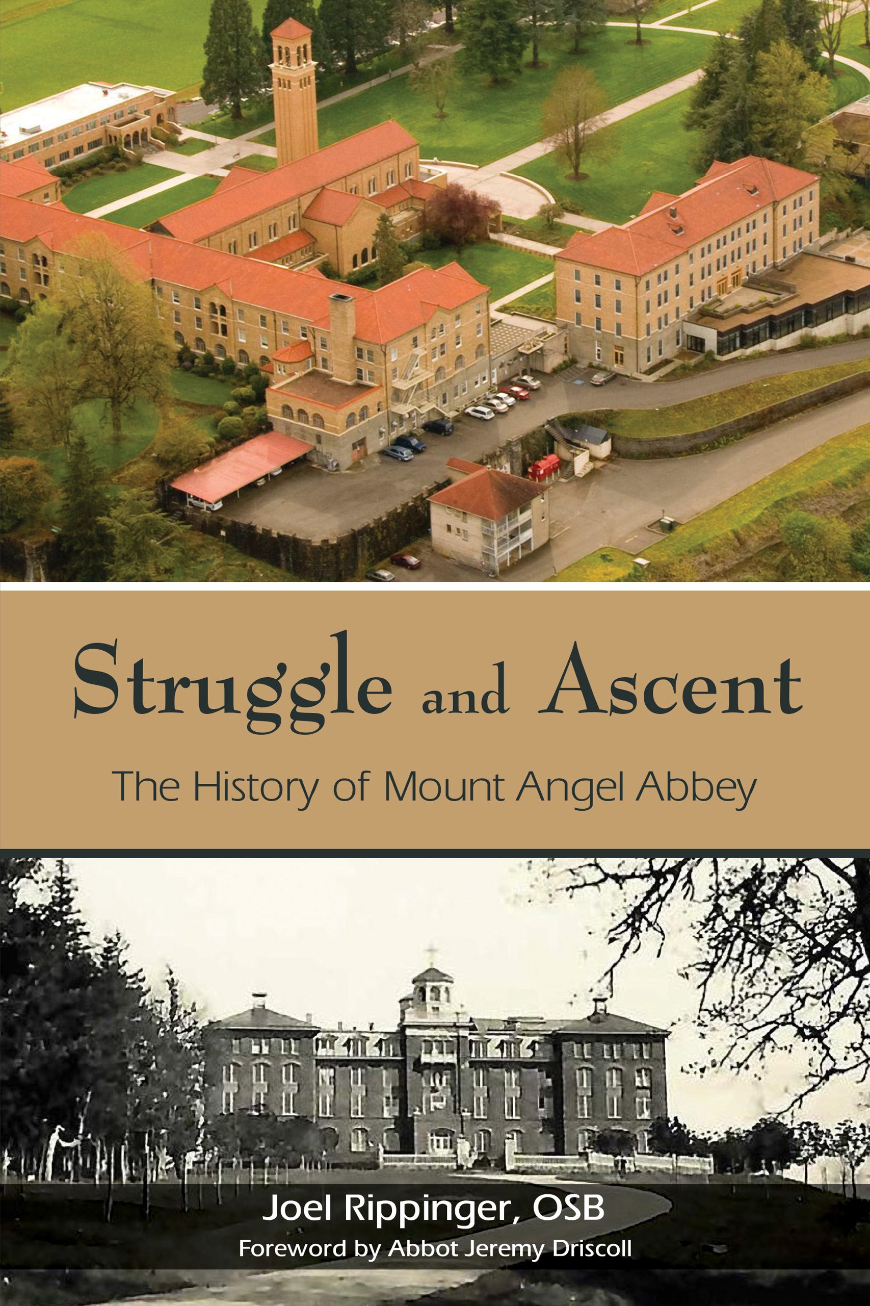 Struggle and Ascent by Joel Rippinger, O.S.B and introduction by Abbot Jeremy Driscoll, O.S.B.