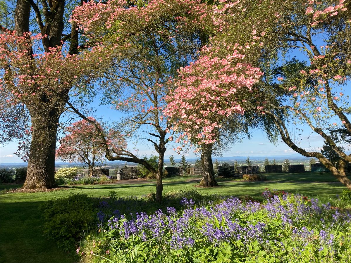 Beautiful spring colors in the cloister garden.
