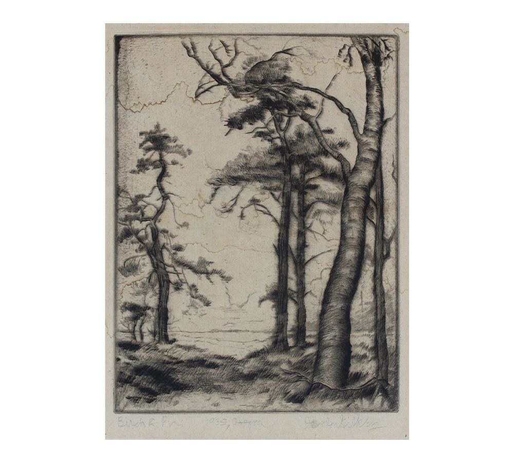 An early etching depicting birch and pine trees.