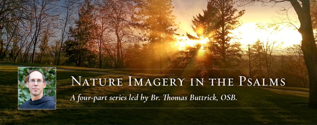 Nature Imagery in the Psalms