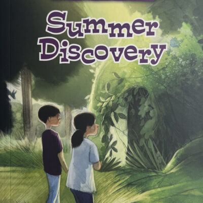 The Adventures of Nick & Sam #9 Summer Discovery
