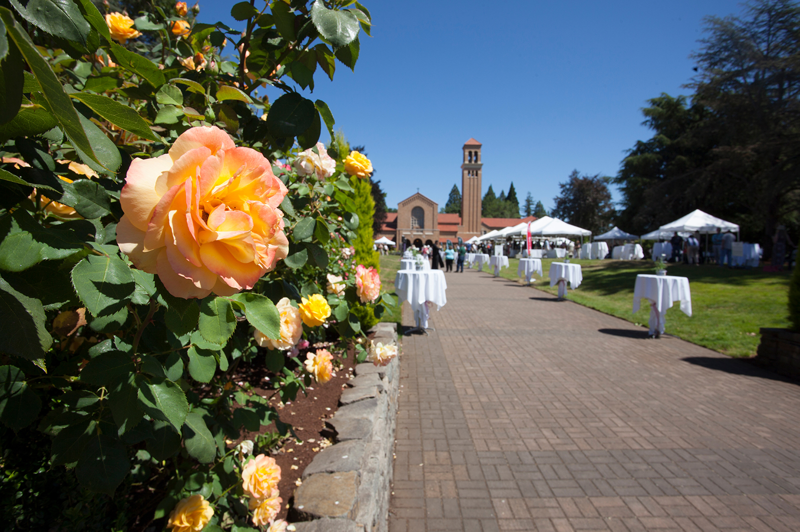 Join Us Mount Angel Abbey