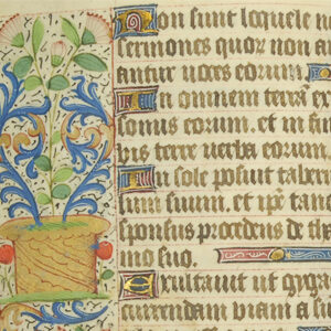 Illuminated Manuscript Detail