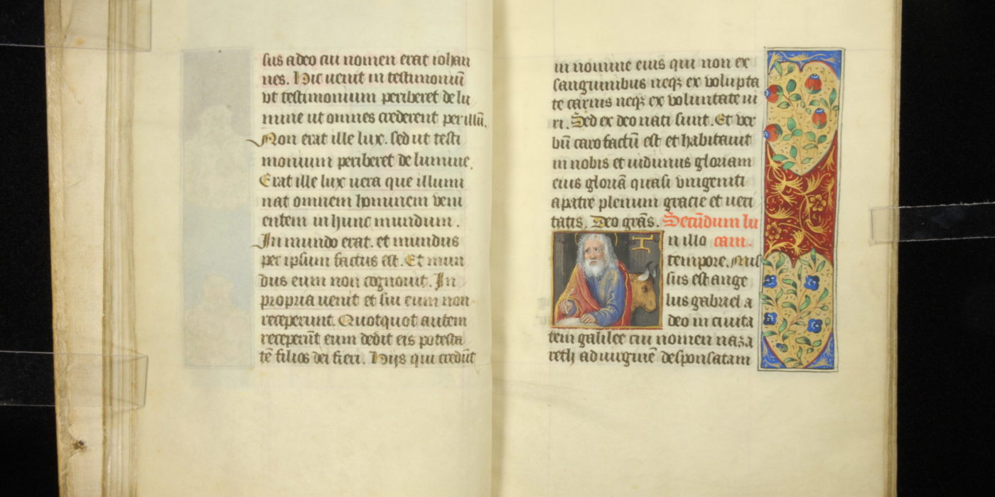 Illuminated Manuscripts 1