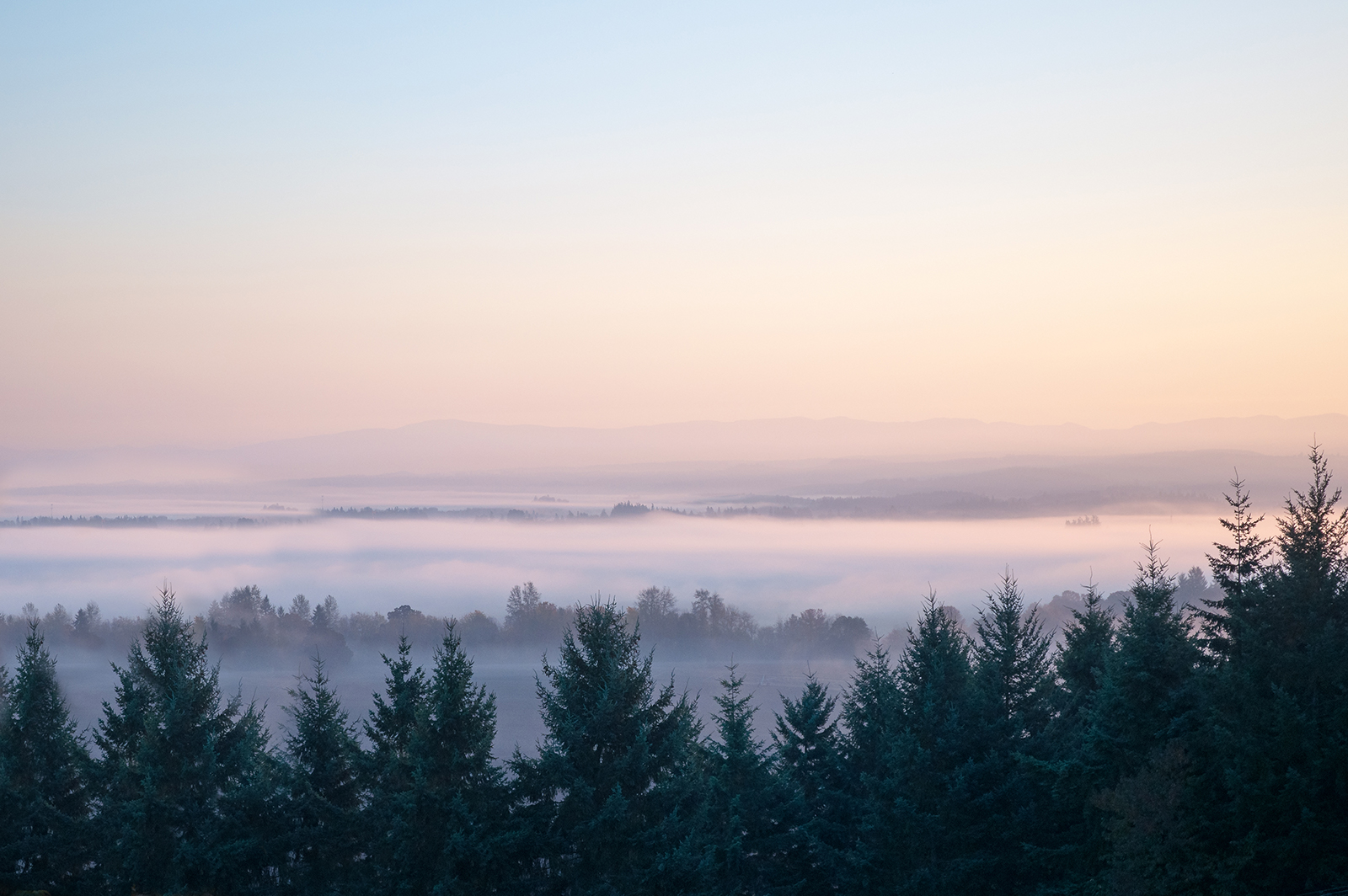 Visit Us 11 Mount Angel Abbey