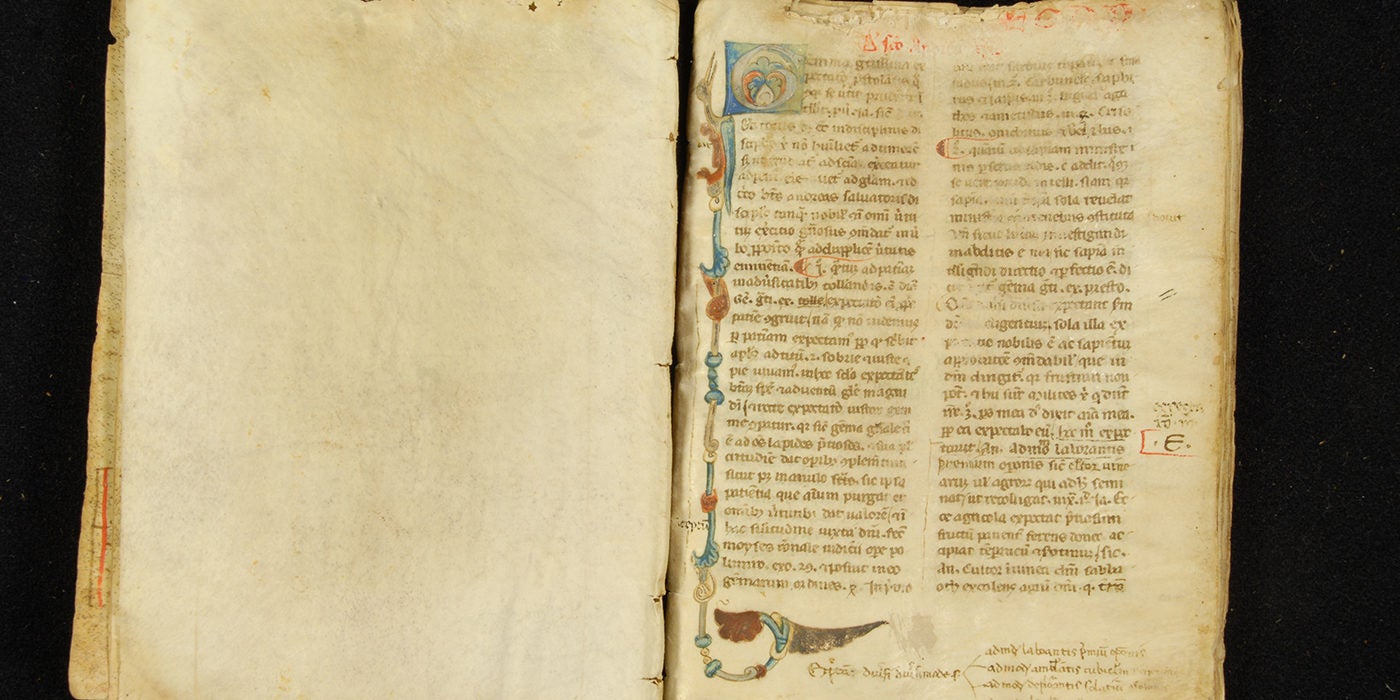 Illuminated Manuscripts 9