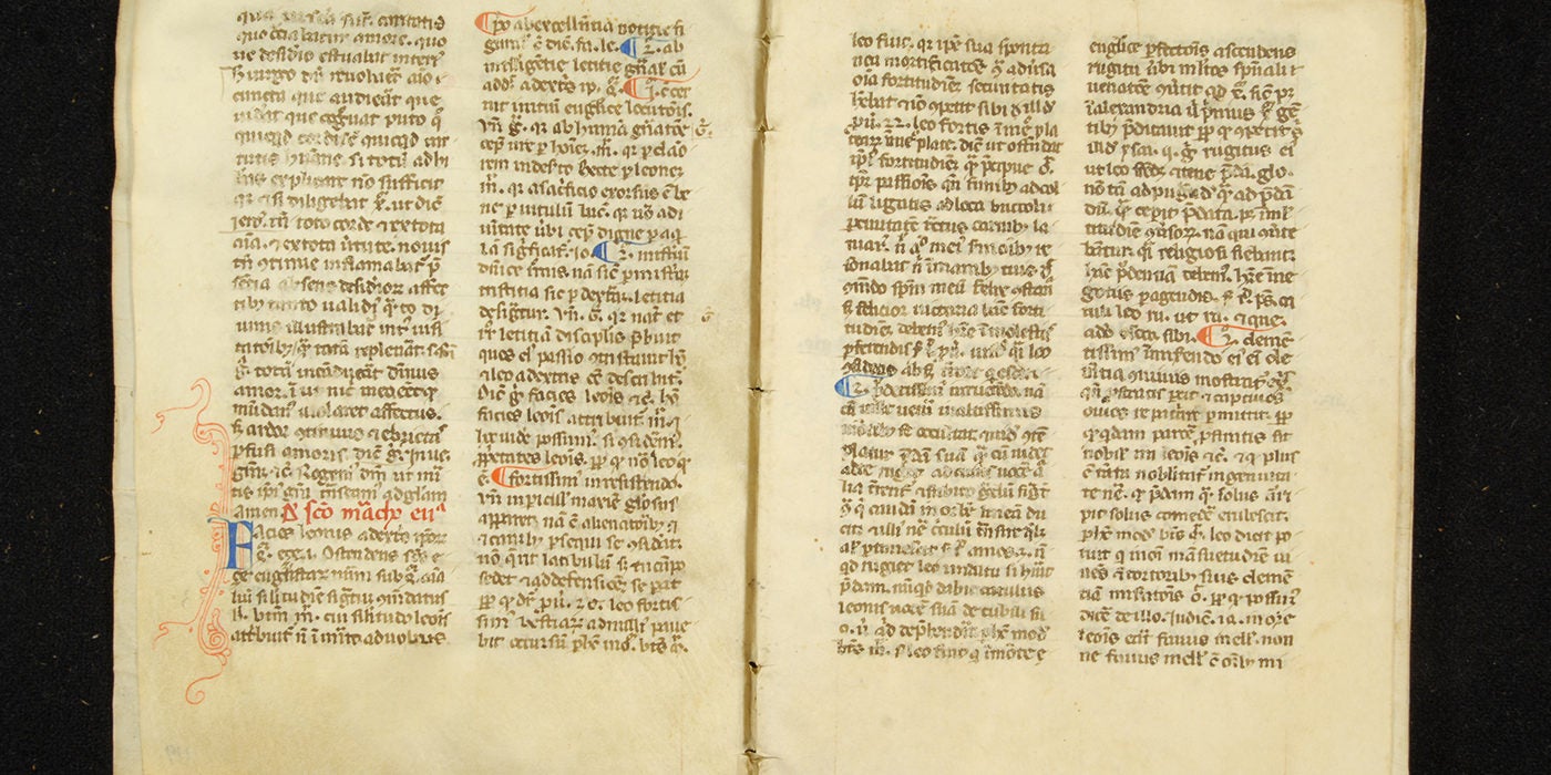 Illuminated Manuscripts 10
