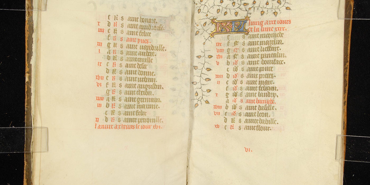 Illuminated Manuscripts 12