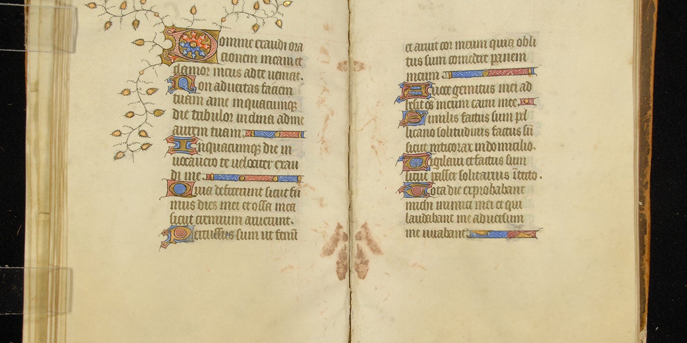 Illuminated Manuscripts 16