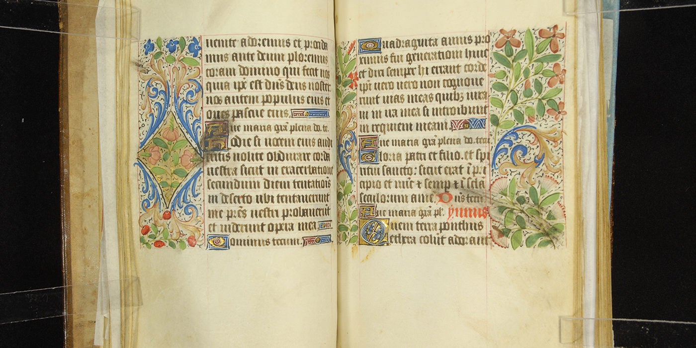 Illuminated Manuscripts 29