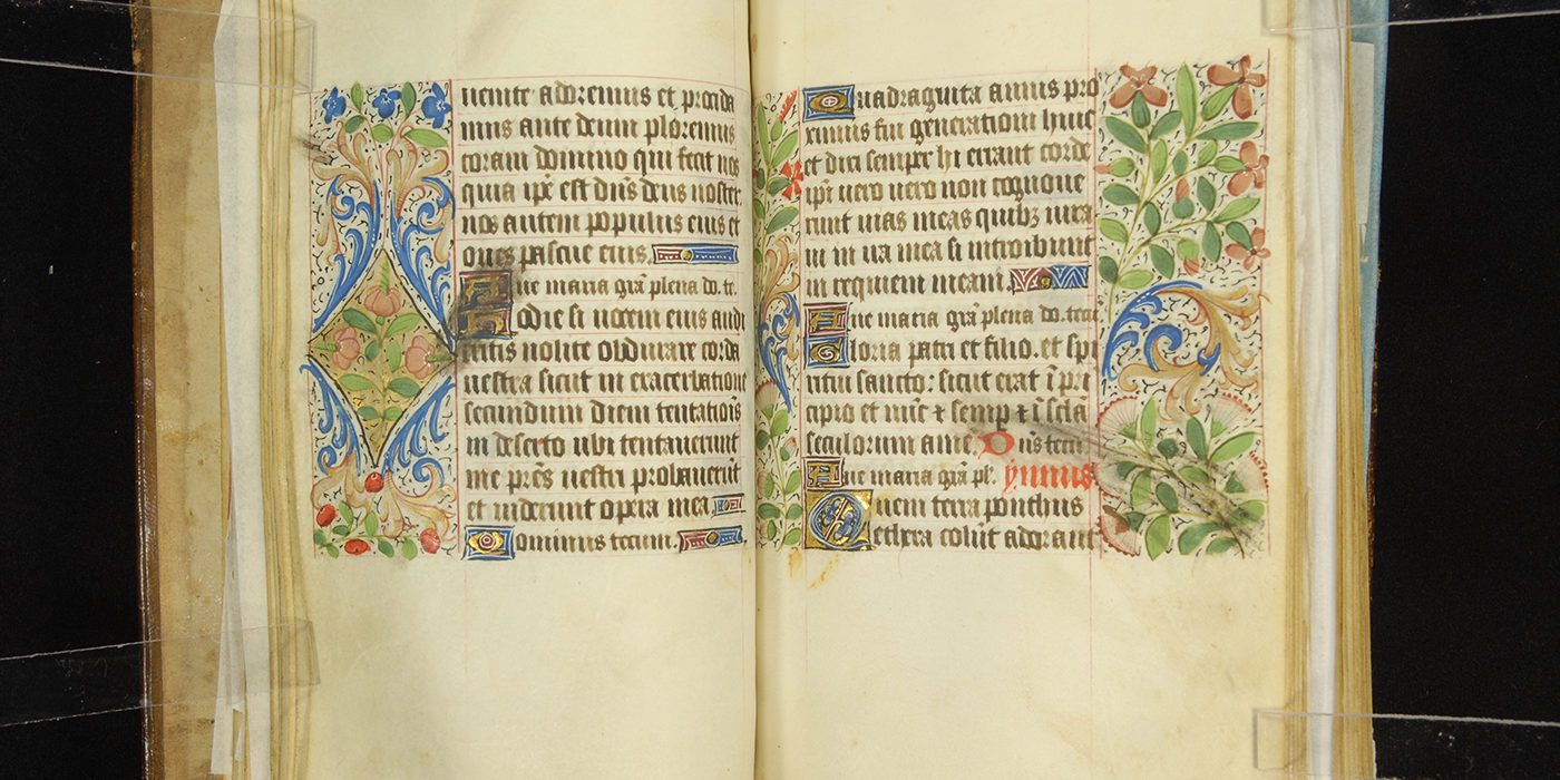 Illuminated Manuscripts 29