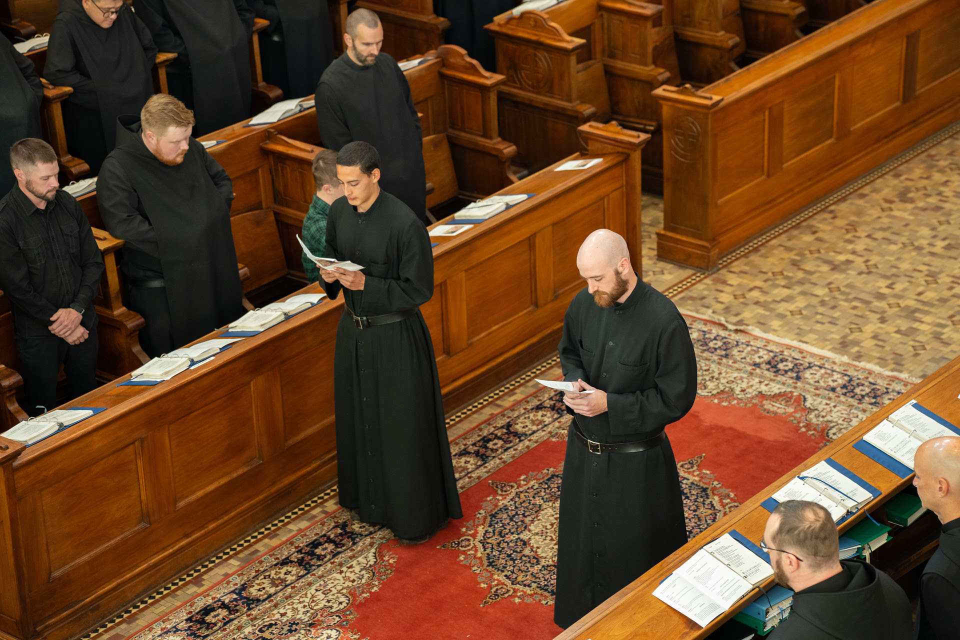 Novices 2026