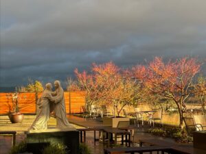 Visitation Garden at sunset, February 2023
